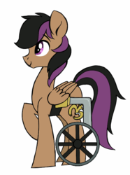 Size: 455x611 | Tagged: safe, artist:purrling, stellar eclipse, pegasus, pony, g4, cute, handicapped, male, profile, simple background, solo, stallion, wheelchair, white background