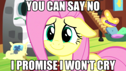 Size: 1280x720 | Tagged: safe, edit, edited screencap, screencap, fluttershy, pony, fluttershy leans in, g4, blatant lies, cute, female, shyabetes, smiling, solo, text, this ended in tears, this will end in tears
