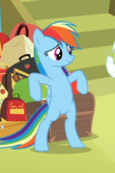 Size: 292x436 | Tagged: safe, screencap, rainbow dash, pegasus, pony, g4, grannies gone wild, bipedal, bipedal leaning, cropped, female, leaning, luggage, mare, offscreen character, solo focus