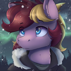 Size: 1800x1800 | Tagged: safe, artist:ardail, oc, oc only, oc:corduroy road, pony, clothes, icon, male, snow, snowfall, solo, stallion, tree
