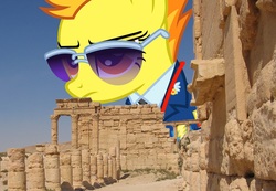 Size: 1731x1197 | Tagged: safe, artist:hereward, edit, spitfire, pegasus, pony, g4, 1000 hours in ms paint, clothes, female, giant pegasus, giant pony, giant/macro spitfire, giantess, guarding, highrise ponies, irl, macro, necktie, palmyra, photo, ponies in real life, solo, spitfire is not amused, spitfire's tie, uniform, wonderbolts dress uniform