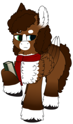 Size: 391x661 | Tagged: safe, oc, oc:luke pineswood, pegasus, pony, book, clothes, digital art, fluffy, scarf, simple background, transparent background