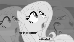 Size: 600x338 | Tagged: safe, edit, edited screencap, screencap, fluttershy, pegasus, pony, g4, yakity-sax, discovery family logo, meme, metal gear, shocked, text, zoom layer