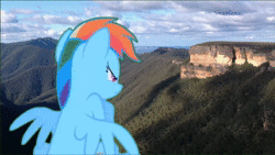 Size: 1920x1080 | Tagged: safe, artist:didgereethebrony, derpibooru exclusive, rainbow dash, pony, g4, angry, animated, cliff, irl, kanangra boyd national park, mlp in australia, no sound, photo, ponies in real life, solo, valley, webm