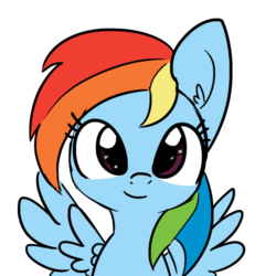 Size: 1650x1650 | Tagged: safe, artist:tjpones edits, color edit, edit, rainbow dash, pegasus, pony, g4, bust, colored, cute, dashabetes, ear fluff, feathered wings, female, looking at you, mare, simple background, smiling, solo, spread wings, starry eyes, transparent background, wingding eyes, wings