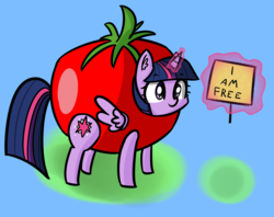 Size: 1402x1110 | Tagged: safe, artist:artiks, twilight sparkle, alicorn, pony, g4, clothes, costume, female, food, food costume, fruit costume, glowing horn, horn, levitation, magic, mare, sign, simple background, solo, telekinesis, tomato, tomato costume, twilight sparkle (alicorn)