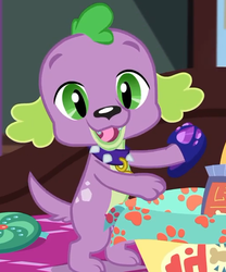 Size: 524x630 | Tagged: safe, screencap, spike, spike the regular dog, dog, equestria girls, equestria girls series, g4, reboxing with spike!, spoiler:eqg series (season 2), clothes, collar, cropped, paws, slippers, smiling, spike's dog collar, tail