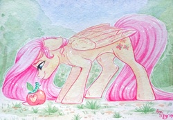 Size: 2614x1814 | Tagged: safe, artist:amishy, fluttershy, caterpillar, pegasus, pony, g4, apple, blushing, female, floppy ears, food, grass, mare, smiling, solo, traditional art