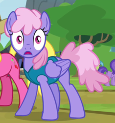 Size: 996x1058 | Tagged: safe, screencap, amethyst star, cherry berry, flounder (g4), rainbowshine, sparkler, pegasus, pony, g4, trade ya!, background pony, cropped, female, looking at camera, looking at the camera, looking at you, mare, missing cutie mark, shocked, solo focus, weather team, wide eyes, winter wrap up vest