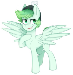 Size: 1164x1200 | Tagged: safe, artist:higglytownhero, oc, oc only, oc:emerald flow, pegasus, pony, beanie, commission, hat, male, multicolored hair, simple background, smiling, smirk, solo, spread wings, stallion, transparent background, wings