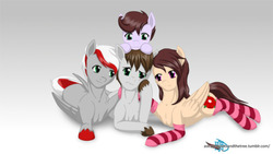 Size: 540x304 | Tagged: safe, artist:askspiritrootsandthetree, oc, oc only, oc:knight fire, oc:night rose, oc:silky skies, pony, clothes, mod pone, socks, striped socks