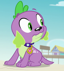 Size: 709x786 | Tagged: safe, screencap, spike, spike the regular dog, dog, equestria girls, equestria girls specials, g4, my little pony equestria girls: better together, my little pony equestria girls: forgotten friendship, collar, cropped, male, paws, spike's dog collar, tail