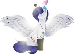 Size: 2202x1630 | Tagged: safe, artist:kazanzh, oc, oc only, pegasus, pony, feather, male, simple background, sitting, solo, stallion, transparent background