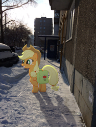 Size: 2448x3264 | Tagged: safe, artist:albertuha, applejack, earth pony, pony, g4, backpack, female, high res, irl, mare, photo, ponies in real life, russia, smiling, snow, solo, winter