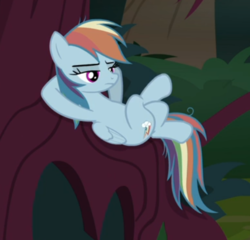 Size: 503x482 | Tagged: safe, screencap, mean rainbow dash, pony, g4, the mean 6, clone, cropped, crossed hooves, crossed legs, female, hooves behind head, lidded eyes, reclining, tree