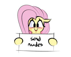 Size: 1097x887 | Tagged: safe, artist:hattsy, fluttershy, pony, g4, blushing, female, floppy ears, looking at you, mare, open mouth, send nudes, sign, simple background, solo, we don't normally wear clothes, white background