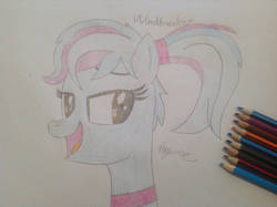 Size: 1280x957 | Tagged: safe, artist:didgereethebrony, oc, oc only, oc:windbreaker, pony, female, mare, pencil drawing, signature, solo, traditional art