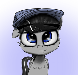 Size: 960x924 | Tagged: safe, artist:chopsticks, oc, oc only, oc:chopsticks, pegasus, pony, cheek fluff, chest fluff, clothes, ear fluff, hat, looking at you, male, simple background, smiling, solo, stallion