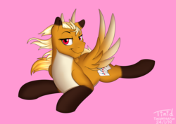 Size: 3033x2148 | Tagged: safe, artist:timidwithapen, oc, oc only, pegasus, pony, femboy, high res, looking at you, male, solo, spread wings, wingboner, wings