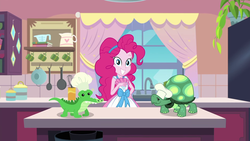 Size: 1920x1080 | Tagged: safe, screencap, gummy, pinkie pie, tank, alligator, tortoise, equestria girls, g4, my little pony equestria girls: better together, the craft of cookies, chef's hat, cute, diapinkes, hat, kitchen, smiling