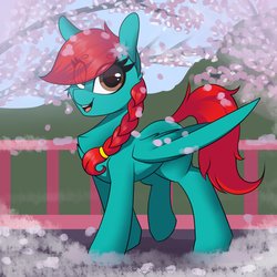 Size: 1772x1772 | Tagged: safe, artist:php97, oc, oc only, oc:dreamery wing, pegasus, pony, beanbrows, cherry blossoms, eye clipping through hair, eyebrows, eyebrows visible through hair, female, fence, flower, flower blossom, mare, petals, solo, wings