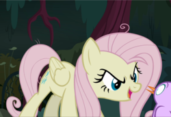 Size: 1371x940 | Tagged: safe, screencap, mean fluttershy, bird, pony, g4, the mean 6, clone, cropped, cruel, female, flutterbitch, open mouth, sinister