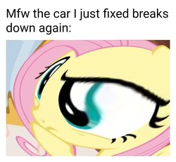 Size: 1080x998 | Tagged: safe, edit, edited screencap, editor:apex soundwave, screencap, fluttershy, pegasus, pony, discordant harmony, g4, caption, car, female, fisheye lens, image macro, mare, mfw, text, thinking