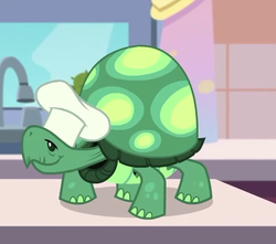 Size: 515x456 | Tagged: safe, screencap, tank, tortoise, equestria girls, g4, my little pony equestria girls: better together, the craft of cookies, chef's hat, cropped, hat, male, solo