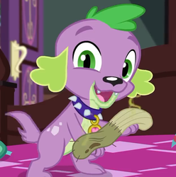 Size: 624x630 | Tagged: safe, screencap, spike, spike the regular dog, dog, equestria girls, g4, my little pony equestria girls: better together, reboxing with spike!, collar, cropped, dirty sock, male, paws, smelly, smiling, spike's dog collar, tail