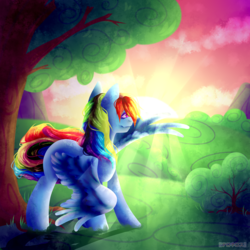 Size: 2000x2000 | Tagged: safe, artist:anisa-mlp222, rainbow dash, pony, g4, female, high res, solo, sunset, tree