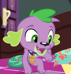 Size: 516x540 | Tagged: safe, screencap, spike, spike the regular dog, dog, equestria girls, equestria girls series, g4, reboxing with spike!, spoiler:eqg series (season 2), collar, cropped, cute, male, paws, smiling, spikabetes, spike's dog collar