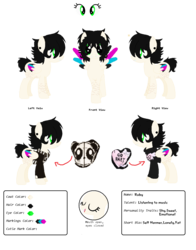Size: 1072x1368 | Tagged: safe, artist:space--paws0w0, oc, oc only, oc:ruby record, pegasus, pony, bio, clothes, colored wings, ear piercing, earring, eyes closed, fangs, female, hoodie, jewelry, mare, multicolored wings, open mouth, piercing, reference sheet, scar, simple background, solo, sweater, transparent background
