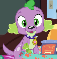 Size: 698x720 | Tagged: safe, screencap, spike, spike the regular dog, dog, equestria girls, g4, my little pony equestria girls: better together, reboxing with spike!, cropped, looking at you, male, paws, written equestrian