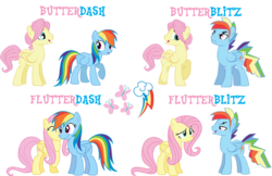 Size: 862x559 | Tagged: safe, artist:kayman13, artist:trotsworth, fluttershy, rainbow dash, pony, g4, butterscotch, female, gay, half r63 shipping, lesbian, male, rainbow blitz, rule 63, ship:butterblitz, ship:butterdash, ship:flutterblitz, ship:flutterdash, shipping, straight