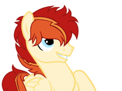 Size: 778x582 | Tagged: safe, artist:sapphireartemis, oc, oc only, oc:fire emberstrike, pegasus, pony, male, simple background, solo, stallion, transparent background