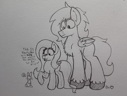 Size: 2576x1932 | Tagged: safe, artist:drheartdoodles, fluttershy, oc, oc:dr.heart, angel, clydesdale, pony, g4, chest fluff, dialogue, mini comic, size difference, smiling, traditional art