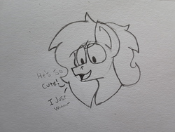 Size: 2576x1932 | Tagged: safe, artist:drheartdoodles, oc, oc only, oc:dr.heart, pony, bust, dialogue, interrupted, mini comic, portrait, smiling, solo, traditional art