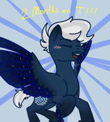 Size: 2400x2640 | Tagged: safe, artist:visionarybuffoon, oc, oc only, oc:skymeadow, pegasus, pony, high res, lgbt, male, mare to stallion, solo, stallion, starry wings, sunburst background, trans male, transgender