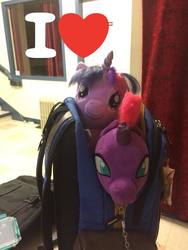 Size: 640x852 | Tagged: safe, artist:ejlightning007arts, tempest shadow, twilight sparkle, pony, unicorn, g4, my little pony: the movie, broken horn, build-a-bear, cute, female, horn, irl, lesbian, photo, photography, plushie, ship:tempestlight, shipping