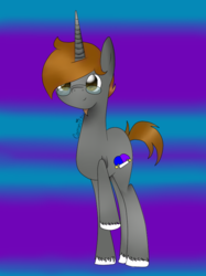 Size: 600x804 | Tagged: safe, artist:cammy--lite, oc, oc:funnygamer95, pony, male, ponysona, stallion