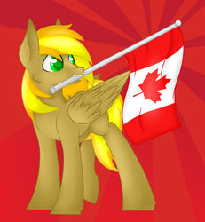 Size: 1024x1110 | Tagged: safe, artist:blocksy-art, oc, oc only, pegasus, pony, canada, flag, male, mouth hold, solo, stallion