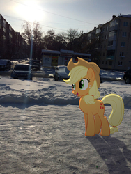 Size: 2448x3264 | Tagged: safe, artist:albertuha, applejack, earth pony, pony, g4, female, high res, irl, mare, photo, ponies in real life, russia, smiling, snow, solo, winter