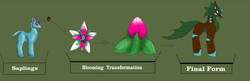 Size: 1280x413 | Tagged: safe, artist:pd123sonic, original species, plant pony, flower, green background, race, simple background