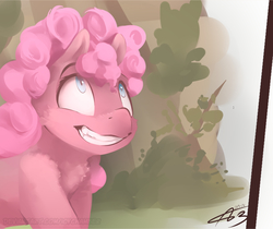 Size: 2297x1931 | Tagged: safe, artist:icychamber, pinkie pie, earth pony, pony, g4, female, looking up, mare, signature, smiling, solo