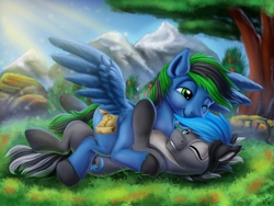Size: 4000x3000 | Tagged: safe, artist:vittorionobile, oc, pony, commission, cuddling, cute, gay, male, scenery