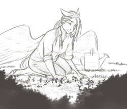 Size: 2484x2151 | Tagged: safe, artist:askbubblelee, oc, oc only, oc:willow breeze, pegasus, anthro, unguligrade anthro, anthro oc, clothes, female, flower, freckles, garden, gardening, grandmother, high res, kneeling, mare, monochrome, shirt, simple background, sketch, smiling, solo, watering can, white background