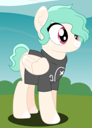 Size: 3385x4687 | Tagged: safe, artist:rainbowsurvivor, oc, oc only, oc:snap happy, pegasus, pony, blaze (coat marking), bush, clothes, coat markings, ear fluff, facial markings, female, floral head wreath, flower, grass, mare, shirt, sky, solo, t-shirt