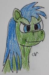 Size: 924x1420 | Tagged: safe, artist:rapidsnap, oc, oc only, oc:rapidsnap, pony, evil smirk, solo, traditional art