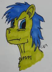 Size: 839x1167 | Tagged: safe, artist:rapidsnap, oc, oc only, oc:rapidsnap, pony, chest fluff, solo, traditional art