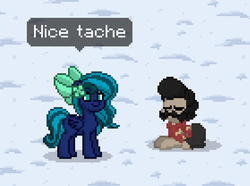 Size: 838x625 | Tagged: safe, oc, oc:midnight mist, pegasus, pony, pony town, facial hair, female, male, mare, moustache, stallion